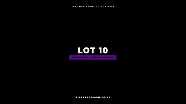 Lot 10