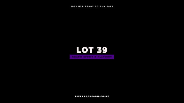 Lot 39