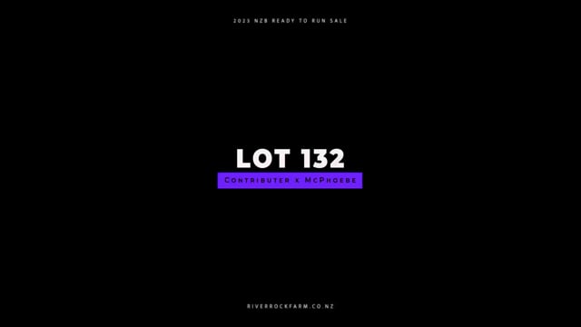 Lot 132