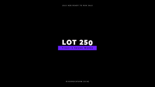 Lot 250