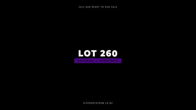 Lot 260