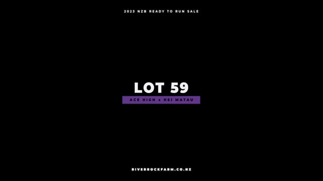 Lot 59
