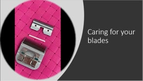 Learn more about blades