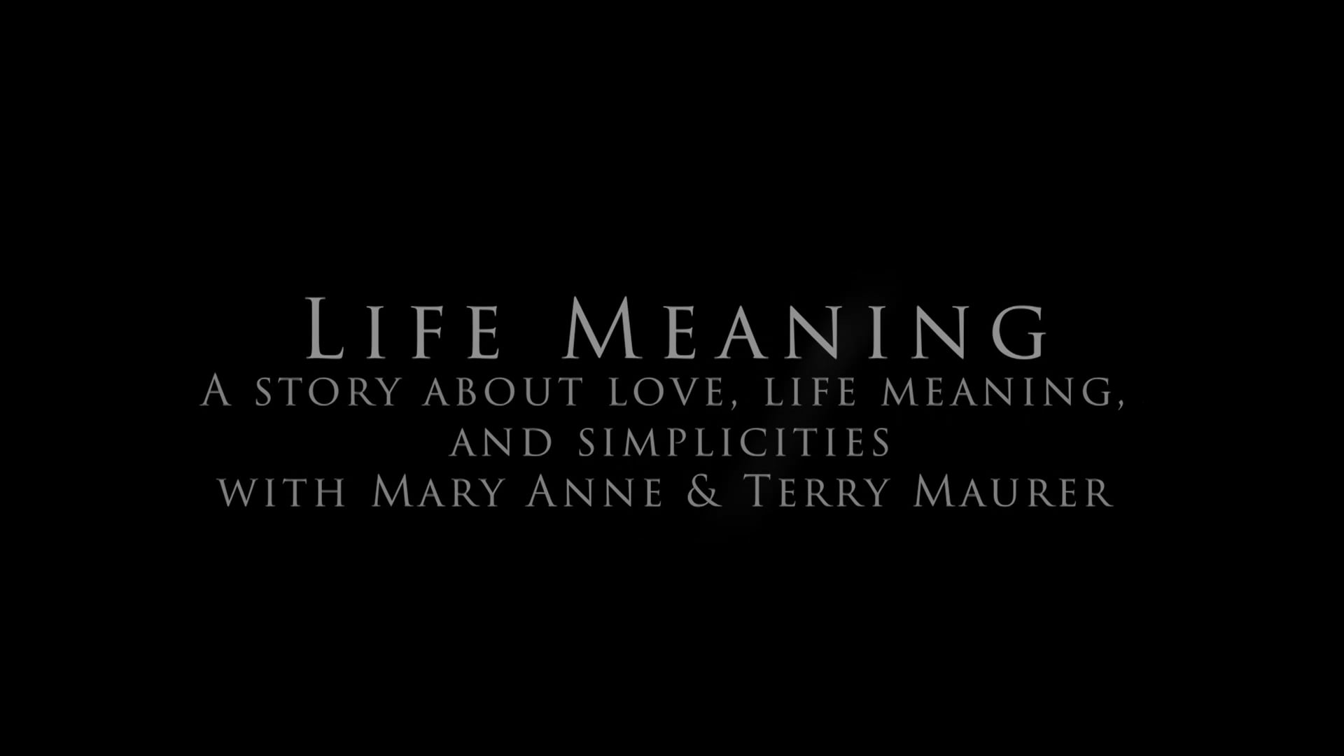 Life Meaning