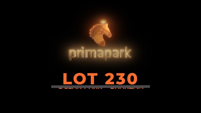 Lot 230