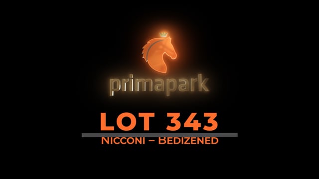 Lot 343