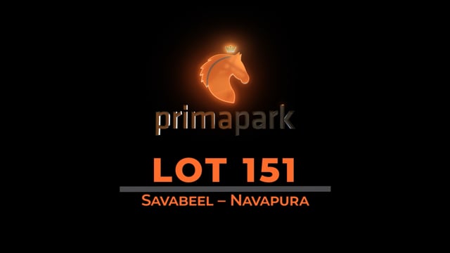 Lot 151