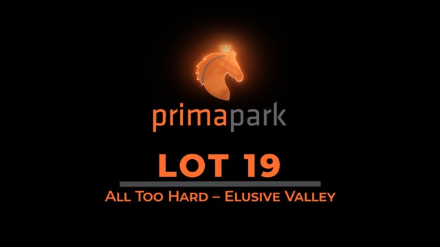 Lot 19