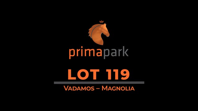 Lot 119