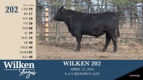 Lot #202 - WILKEN 202