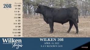 Lot #208 - WILKEN 208