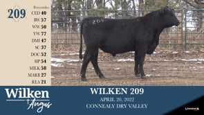 Lot #209 - WILKEN 209