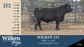 Lot #212 - WILKEN 212