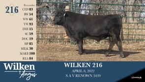 Lot #216 - WILKEN 216