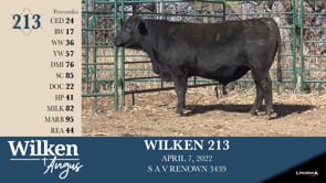 Lot #213 - WILKEN 213