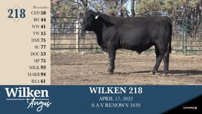 Lot #218 - WILKEN 218