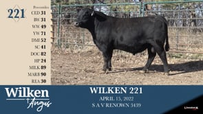 Lot #221 - WILKEN 221