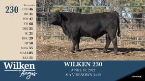 Lot #230 - WILKEN 230