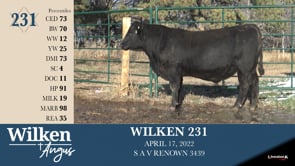 Lot #231 - WILKEN 231