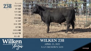 Lot #238 - WILKEN 238