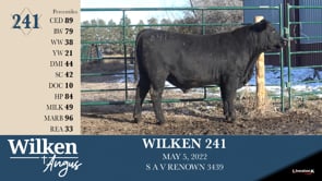 Lot #241 - WILKEN 241