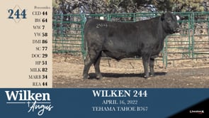 Lot #244 - WILKEN 244