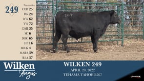 Lot #249 - WILKEN 249
