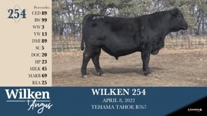 Lot #254 - WILKEN 254