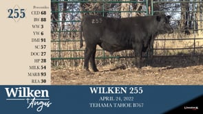 Lot #255 - WILKEN 255