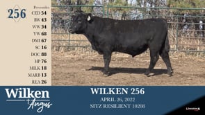 Lot #256 - WILKEN 256