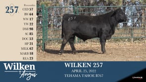 Lot #257 - WILKEN 257