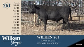 Lot #261 - WILKEN 261
