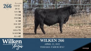 Lot #266 - WILKEN 266