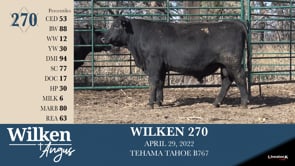 Lot #270 - WILKEN 270