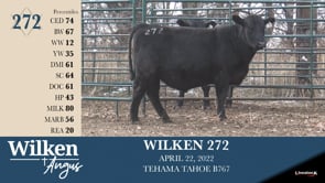 Lot #272 - WILKEN 272