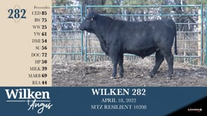 Lot #282 - WILKEN 282