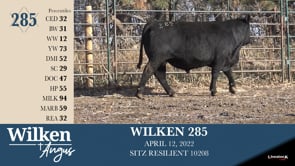 Lot #285 - WILKEN 285