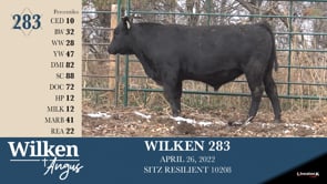 Lot #283 - WILKEN 283