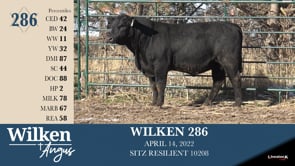 Lot #286 - WILKEN 286