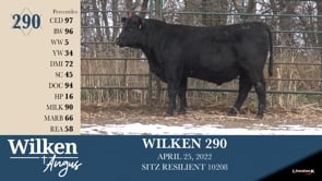 Lot #290 - WILKEN 290