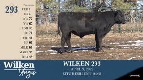 Lot #293 - WILKEN 293