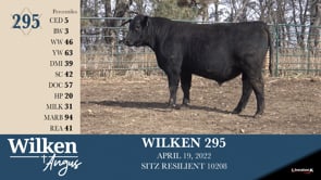 Lot #295 - WILKEN 295