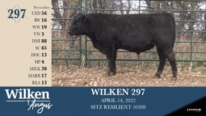 Lot #297 - WILKEN 297