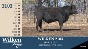 Lot #2103 - WILKEN 2103