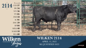 Lot #2114 - WILKEN 2114