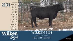 Lot #2131 - WILKEN 2131