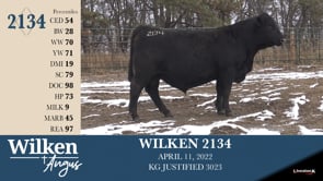 Lot #2134 - WILKEN 2134