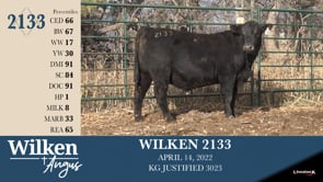 Lot #2133 - WILKEN 2133