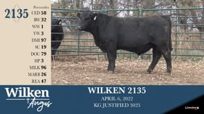 Lot #2135 - WILKEN 2135