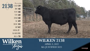 Lot #2138 - WILKEN 2138